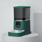 Dark green / App version / US