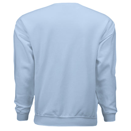 LIGHT BLUE - BACK